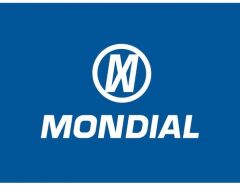 Mondial Wing 50 İ Ön Amortisör Takımı Gri Orjinal