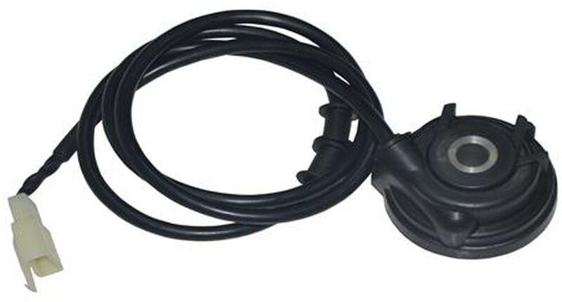 Kuba Bluebırd Okuyucu Rediktör Orjinal