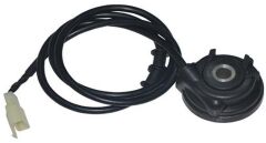 Kuba Bluebırd Okuyucu Rediktör Orjinal