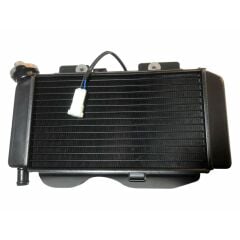 Cf Moto Nk 250 Radyatör 2020 Orijinal