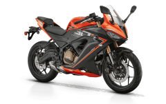 RKS SRK 250 RR Hava Filtre Elemanı