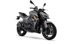 RKS A 250 Hava Filtre Elemanı