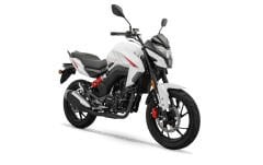 RKS 250 S Hava Filtre Elemanı