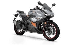 Rks M 250 Oringli Teker Zinciri D.I.D Gold