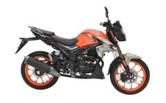 Arora Shark 125 Oringli Zincir Gold