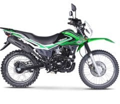 Falcon Desert 277 Oringli Teker Zinciri D.I.D Gold