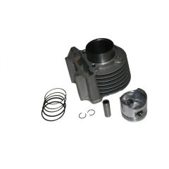 LOYAL-NT 100 SİLİNDİR KOMPLE